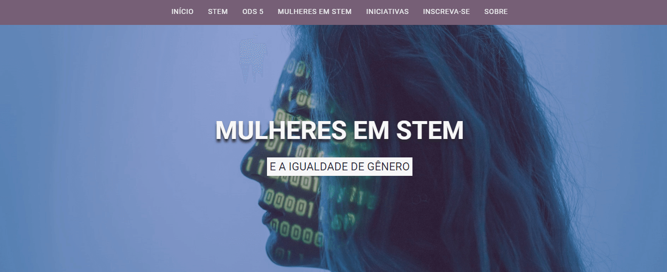 visualização do projeto mulheres e a igualdade de gênero